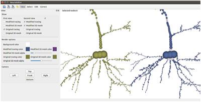 NeuroEditor: a tool to edit and visualize neuronal morphologies